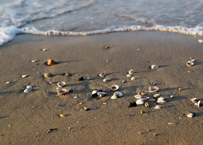 Beautiful Flat 250m From The For 8 Guests Apartmán